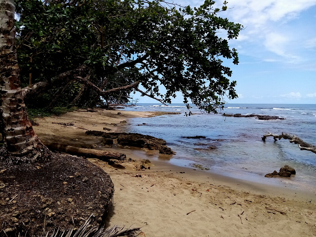 Punta Cocles