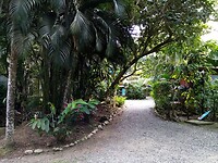 IMG_20250312_151259