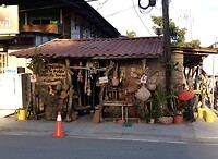 Bocas town