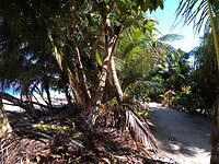 Playa Bluff