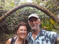 Wandelen in de jungle