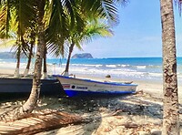 IMG_1320