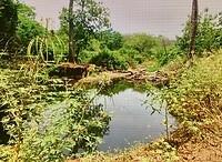 Rio Buenavista