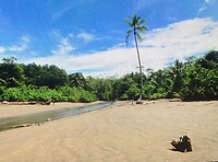 Strand Marino Ballena