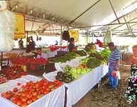 Lokale boerenmarkt