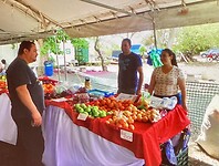 Groente en fruit recht van het land
