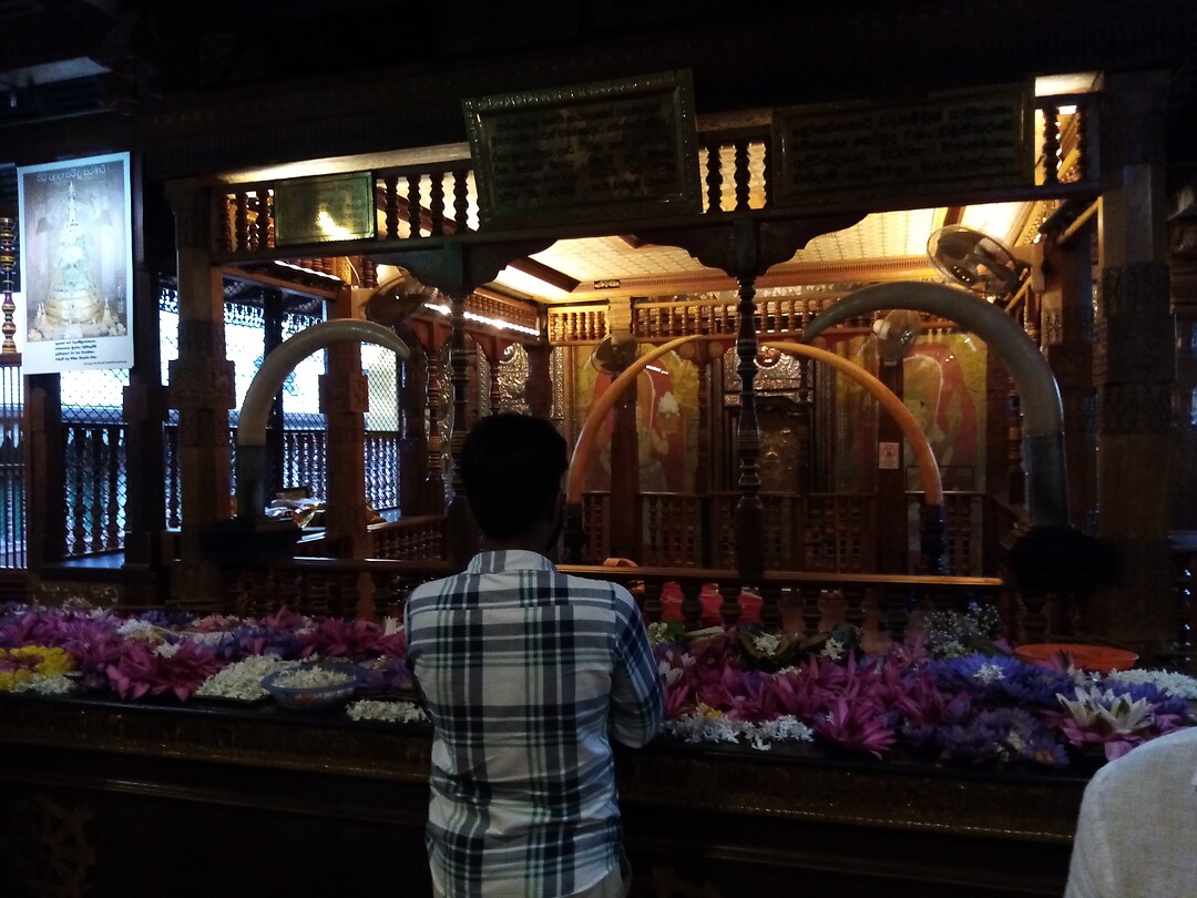 Tempel van de tand