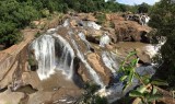 Waterfall botanical garden