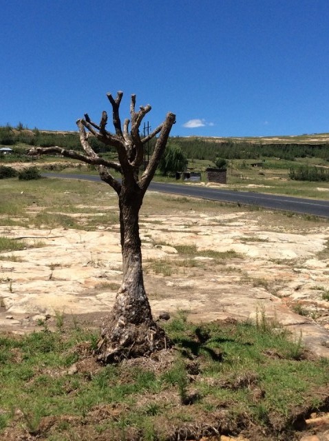 Lesotho