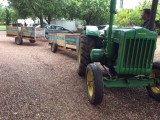 Klaar om in te stappen om druiven te gaan plukken. De tractor is een John Deere van 1948.