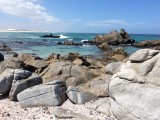 West Coast NP