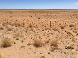 Onderweg naar Kakamas: je kan kilometers ver kijken