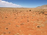 Landschap tussen Springbok en Kakamas