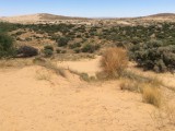 Witsand natuurreservaat