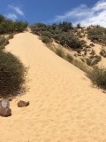 Witsand natuurreservaat