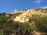 WItsand natuurreservaat
