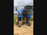 een druivenplukker van CAse New Holland, gemaakt in Frankrijk