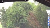 Rain rain rain