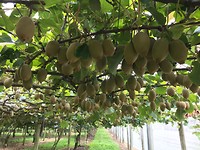 IMG_1483