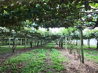 IMG_1489
