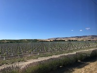 IMG_1502