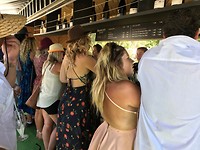 IMG_1536