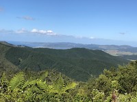IMG_2284