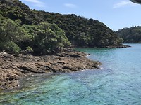 IMG_2433