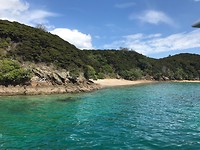 IMG_2434
