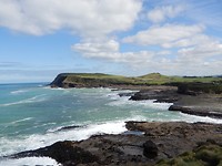 Curio Bay 1