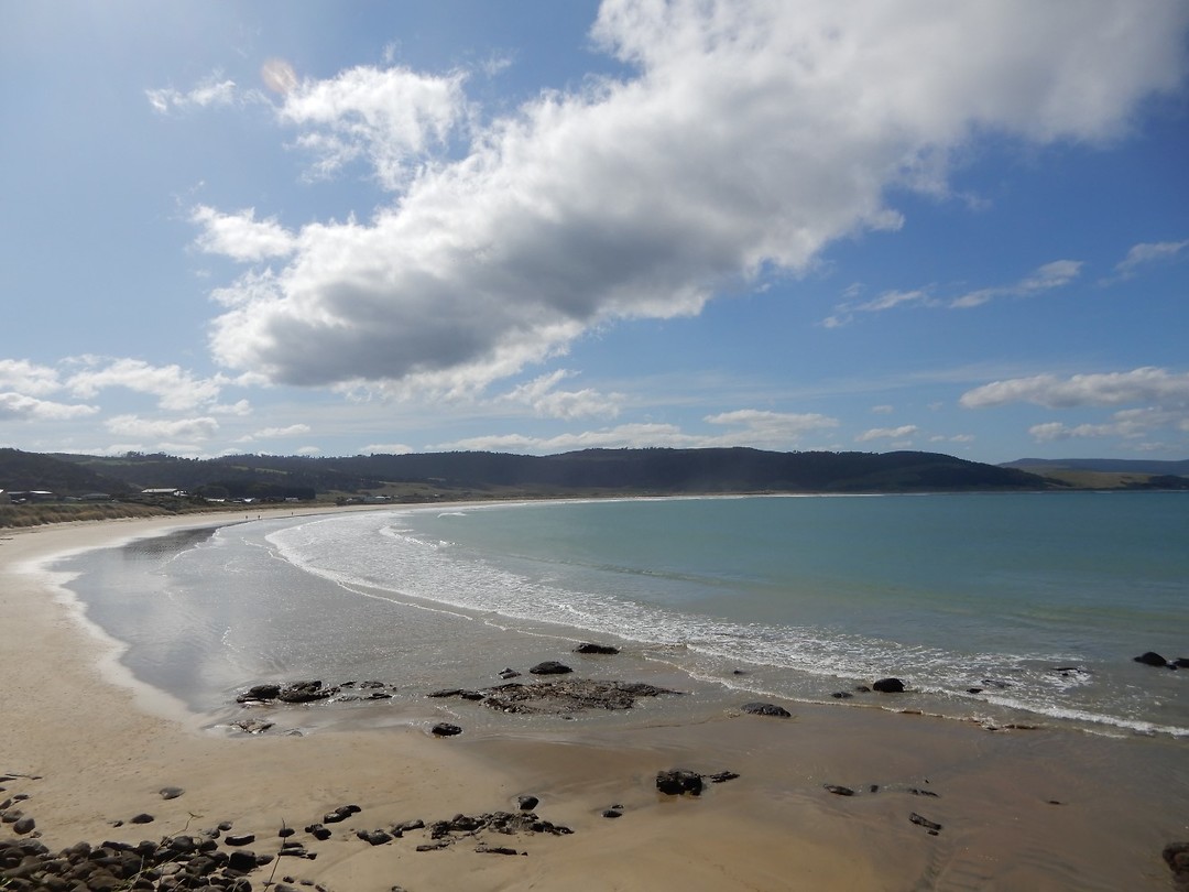 Curio Bay 2