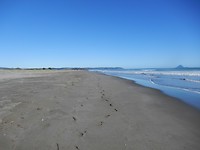 Ohope beach 1