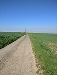 IMG-20220422-WA0001