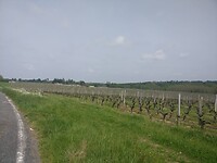 IMG-20220429-WA0000