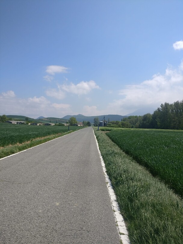 IMG-20220504-WA0008