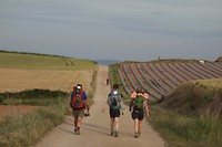 onderweg