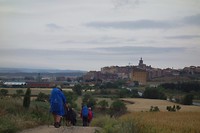 Viane