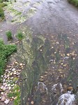 Rivier de Nájerilla