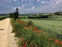 Onderweg