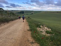 Begin van de meseta, allen maar granen