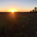 Zonsopkomst