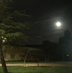 Volle maan