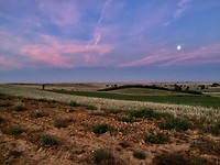 Volle maan