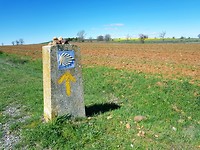Páramo