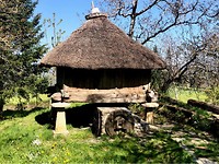 Traditionele Palloza