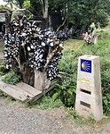 Volg de gele pijl