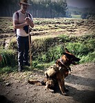 Ook de honden dragen hun rugzak