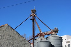 IMG_2493