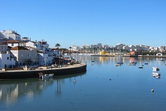 IMG_2503