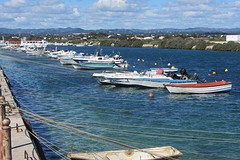 IMG_2522